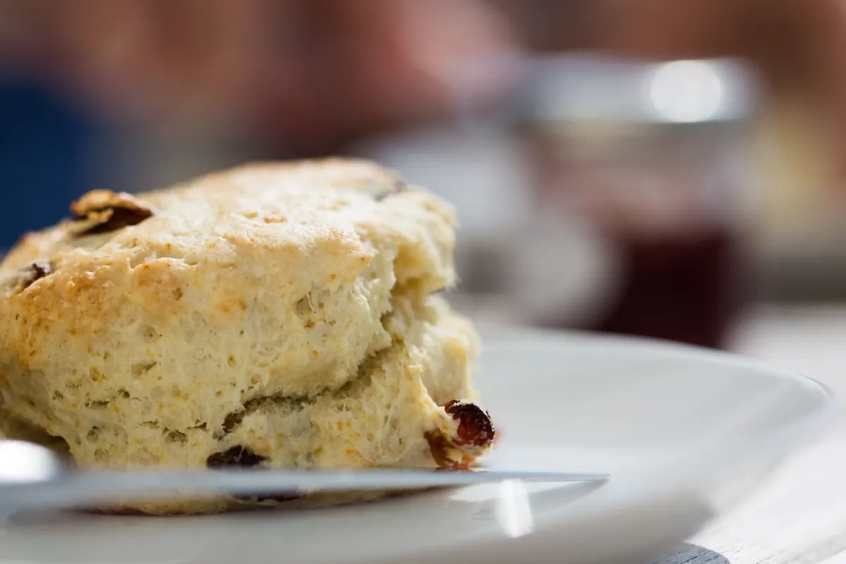 Classic Scones vs. Cream Scones: Which Recipe Works Best for Afternoon Tea?